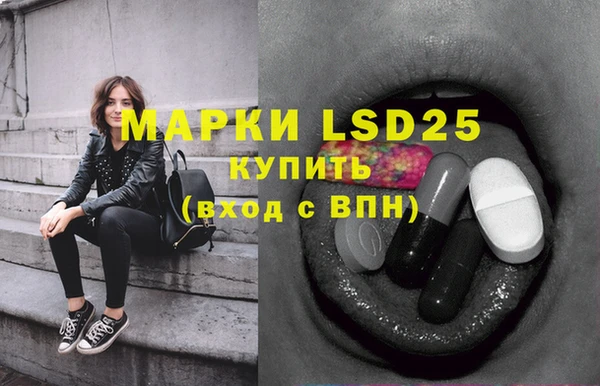 прущие грибы Янаул