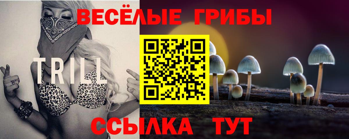 Псилоцибиновые грибы Cubensis  Вход с VPN  Южно-Сахалинск 